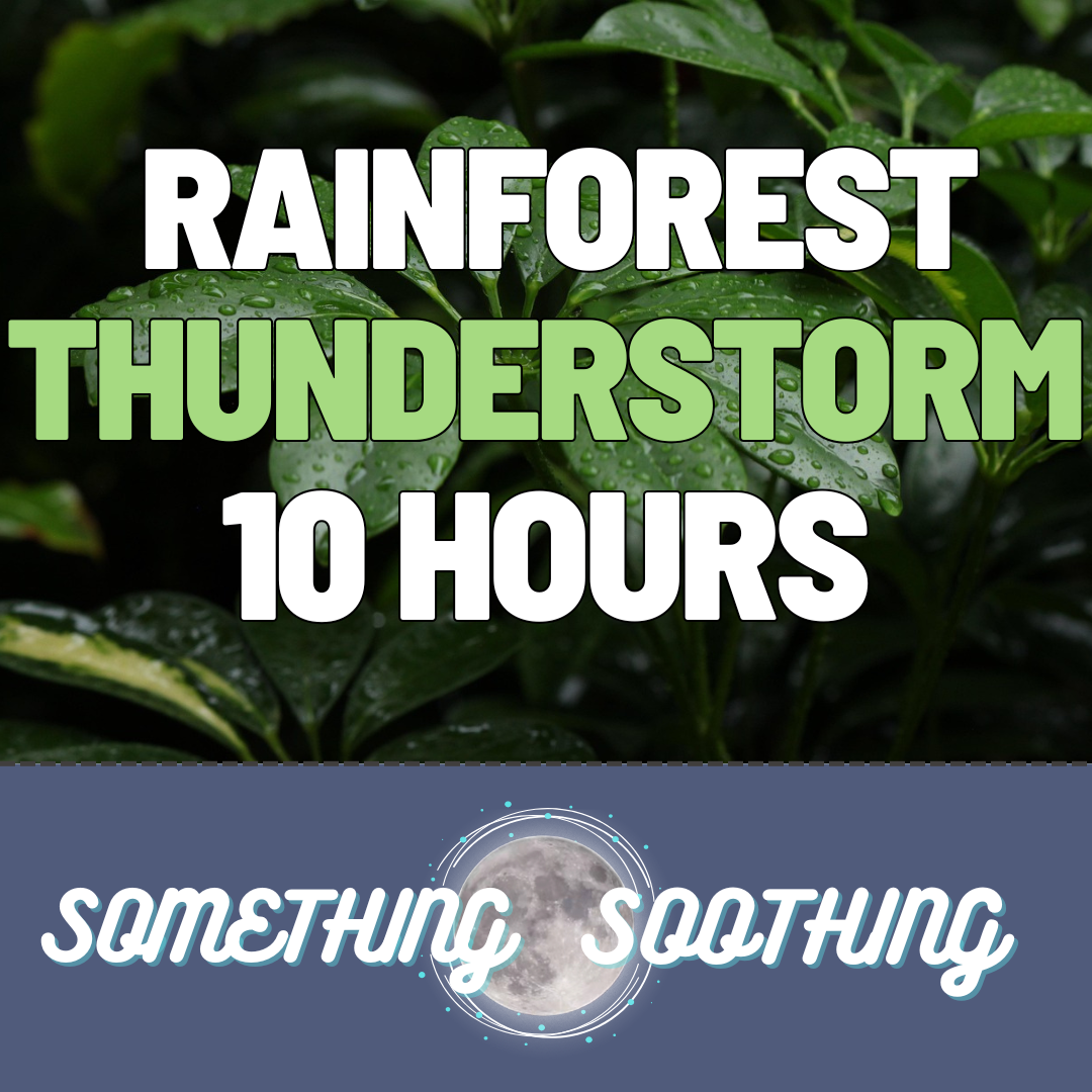 Rainforest Thunderstorm Audio: 10 Hours