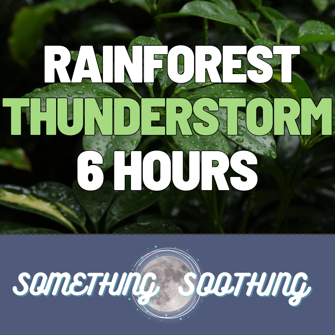 Rainforest Thunderstorm Audio: 6 Hours