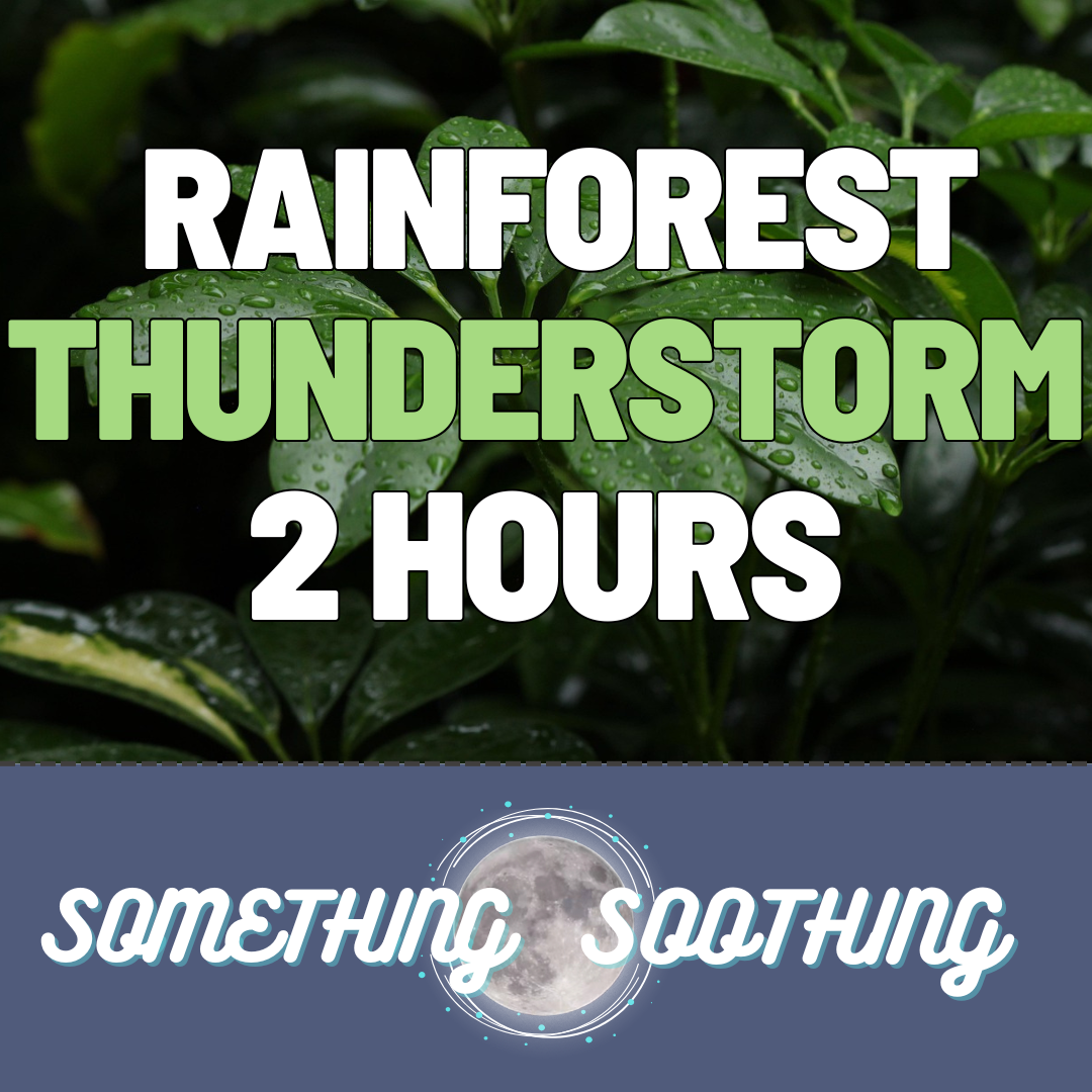 Rainforest Thunderstorm Audio: 2 Hours