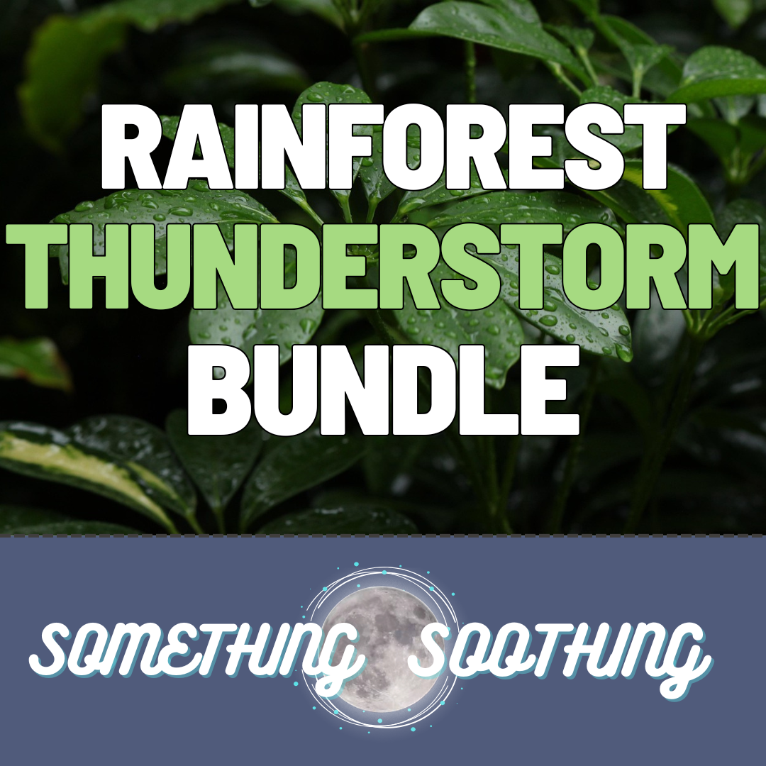 Rainforest Thunderstorm Audio: Bundle