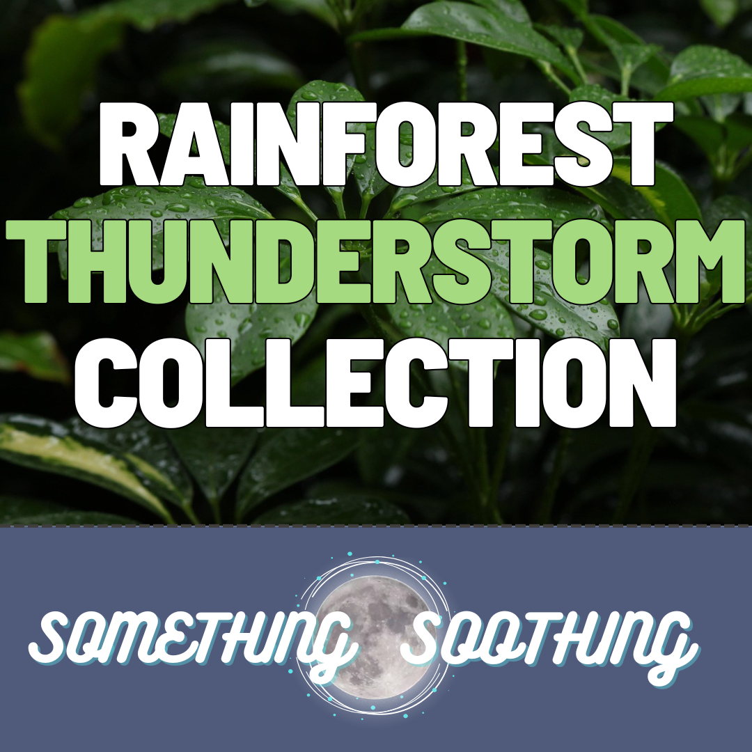 Rainforest Thunderstorm
